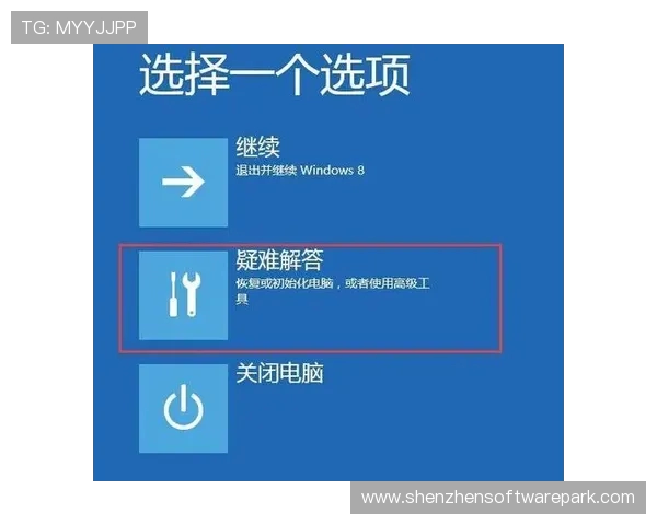 电脑游戏中pin是什么意思及其应用解析