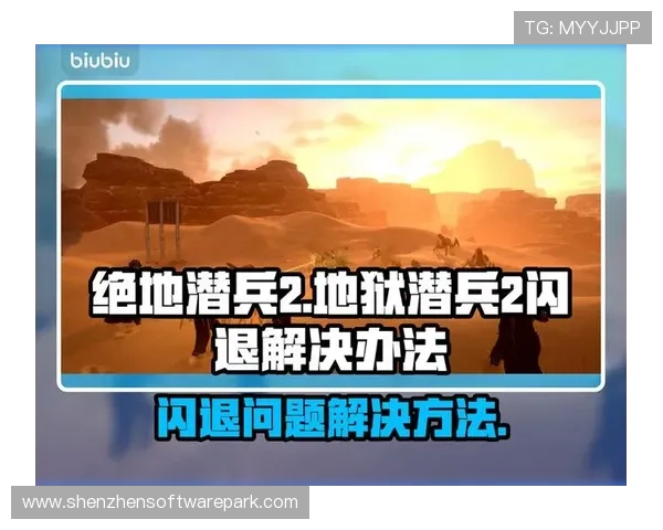 绝地潜兵游戏启动即卡死闪退问题解决方案与排查技巧